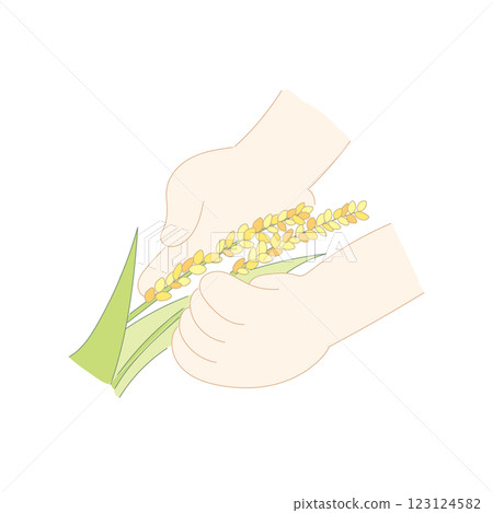 Illustration of ripe rice ears and hands (B) 123124582