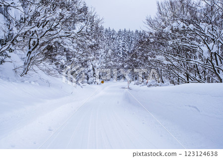 雪道（大山鏡火近） 123124638