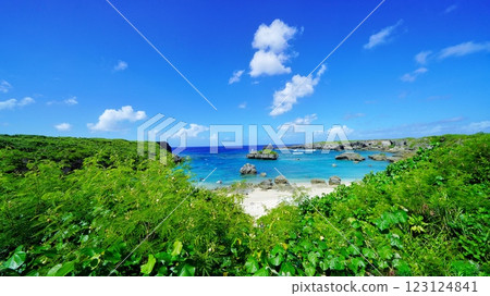 Nature of Caiaphas Nature of Caiaphas 123124841