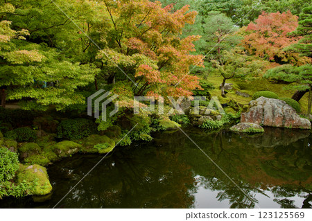 深秋美麗的日本庭園 深秋美麗的日本庭園 123125569