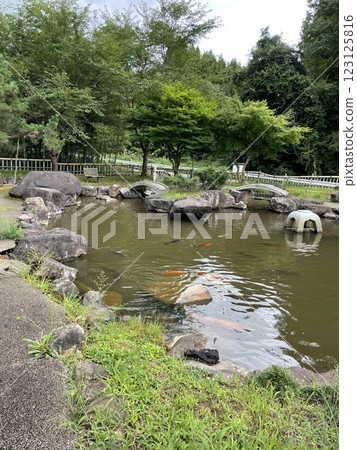 A pond A pond 123125816