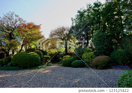 A beautiful Japanese garden in late autumn 123125822