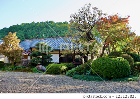 A beautiful Japanese garden in late autumn 123125823