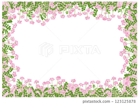 一個矩形框架插圖,周圍環繞著許多中國莎草 一個矩形框架插圖,周圍環繞著許多中國莎草 123125878