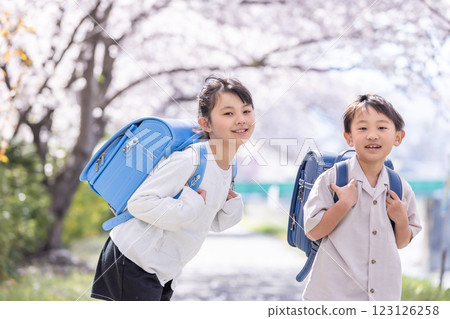 Elementary school student with cherry blossoms and a school bag Elementary school student with cherry blossoms and a school bag 123126258
