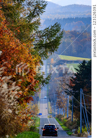 Roller Coaster Road in Furano, Hokkaido 123126391