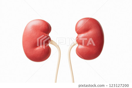 diagnosis, healthcare, organism 123127200