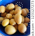 Photo of sweet loquats grown naturally using natural farming methods, no pesticides 123127273