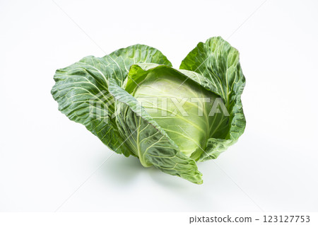 Fresh cabbage Fresh cabbage 123127753