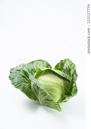 Fresh cabbage Fresh cabbage 123127754