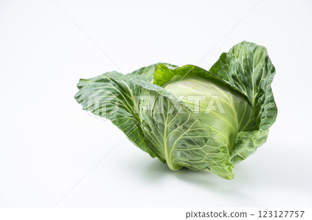 Fresh cabbage 123127757