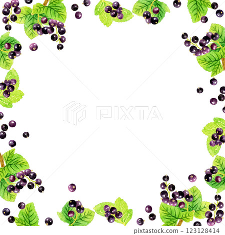 黑醋栗方框手繪水果水彩插圖 123128414