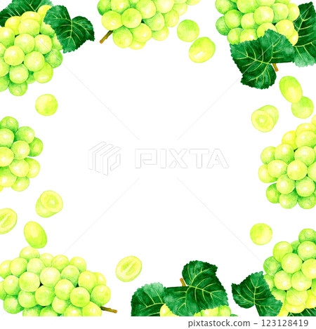 Shine Muscat square frame Fruit hand-drawn watercolor illustration background material 123128419