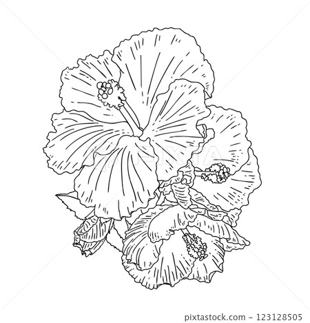 Tribal flowers Hibiscus Tribal flowers Hibiscus 123128505