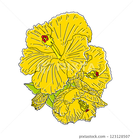 部落花芙蓉 部落花芙蓉 123128507