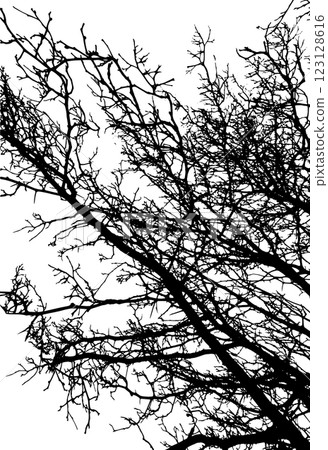 Monochrome silhouette of tree branches. hand drawing. Not AI Vector illustration 123128616