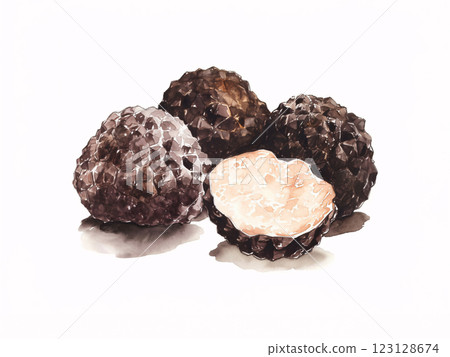 松露水彩畫 123128674