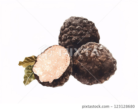 Truffle watercolor 123128680
