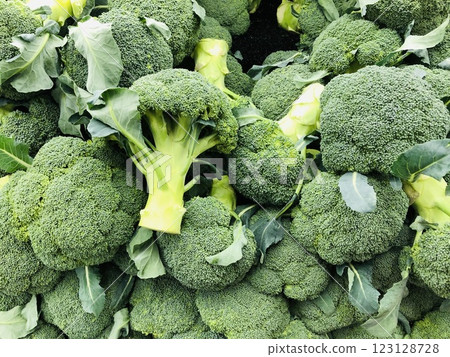 Broccoli pile vegetable harvest 123128728