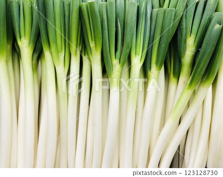蔥，展示，蔬菜 123128730