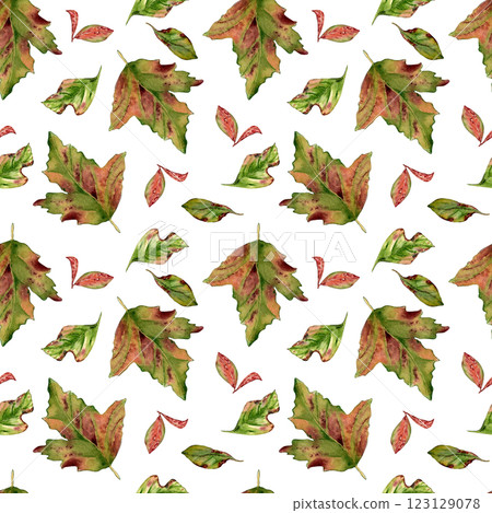 Watercolor autumn red green leaves seamless pattern isolated on white. Colorful fall leaves of maple, hawthorn, viburnum tree hand drawn in botanical sketch. Foliage repeat background painted design. Watercolor autumn red green leaves seamless pattern isolated on white. Colorful fall leaves of maple, hawthorn, viburnum tree hand drawn in botanical sketch. Foliage repeat background painted design. 123129078