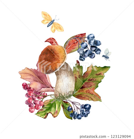 Mushrooms with orange caps and red autumn leaves maple in watercolor composition isolated. Rowan, viburnum, black chokeberry with butterfly painted. Fall colorful illustration with wild forest plants Mushrooms with orange caps and red autumn leaves maple in watercolor composition isolated. Rowan, viburnum, black chokeberry with butterfly painted. Fall colorful illustration with wild forest plants 123129094