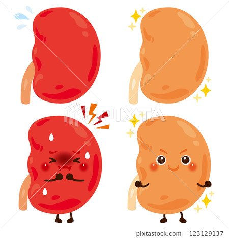A character with an overactive kidney and a character with a healthy kidney A character with an overactive kidney and a character with a healthy kidney 123129137