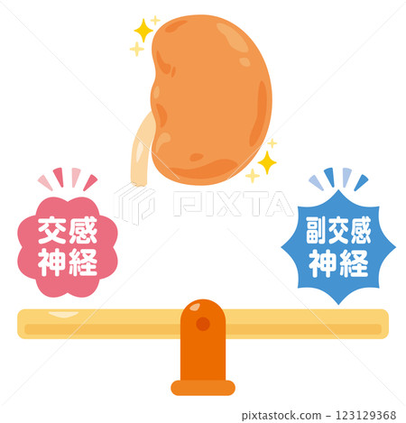 平衡的自主神經系統和健康的腎臟的圖示 平衡的自主神經系統和健康的腎臟的圖示 123129368