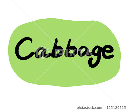 手寫字母“捲心菜”向量插圖 手寫字母“捲心菜”向量插圖 123129515