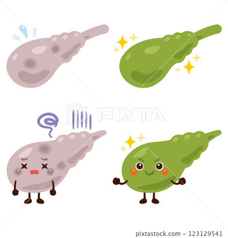 A character with a sluggish gallbladder and a character with a lively gallbladder A character with a sluggish gallbladder and a character with a lively gallbladder 123129541