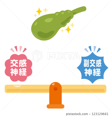 Illustration of a balanced autonomic nervous system and a healthy gallbladder 123129681