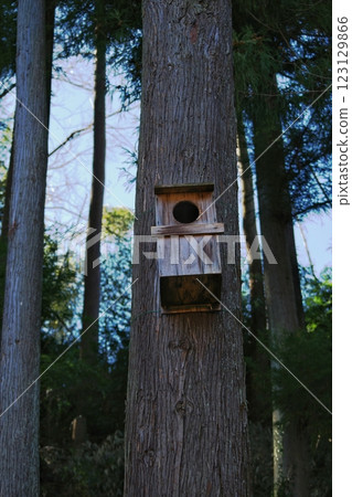 廢話的巢箱 廢話的巢箱 123129866