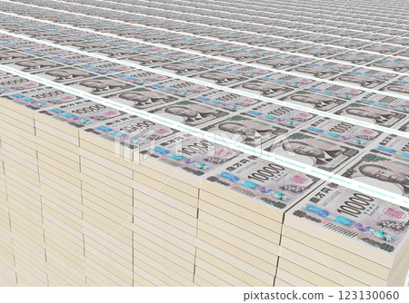 New banknote 123130060