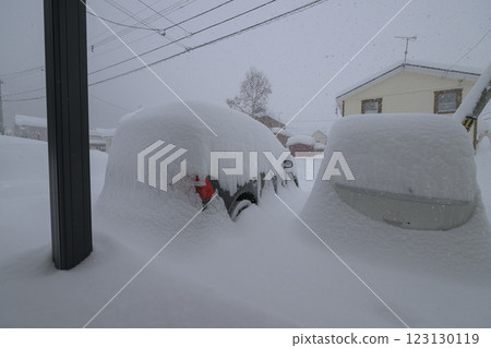 Entrance and car buried in heavy snow 123130119