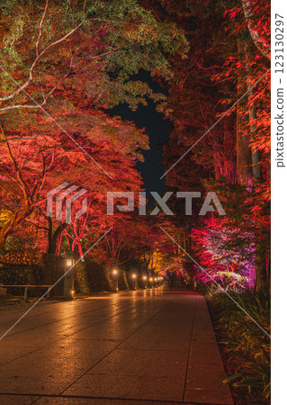 袋井市（靜岡縣）寶田山尊榮寺的紅葉亮燈活動 123130297