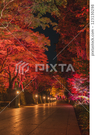 袋井市（靜岡縣）寶田山尊榮寺的紅葉亮燈活動 123130298