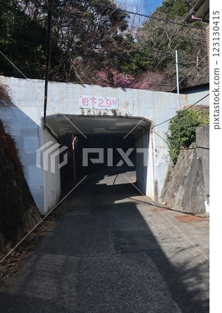 前往伊豆半島稻取縣須佐之男神社的道路 123130415