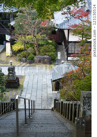 Stone steps with beautiful autumn leaves 123130514