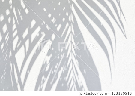 Coconut Leaves Shadow on White Painting on Concrete Wall Background. Coconut Leaves Shadow on White Painting on Concrete Wall Background. 123130516