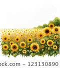 Sunflower field painted in watercolor 123130890