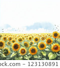Sunflower field painted in watercolor 123130891