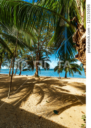 Tropical Resort 123130896