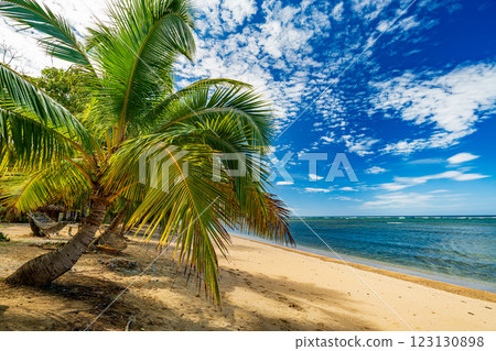 Tropical Resort 123130898