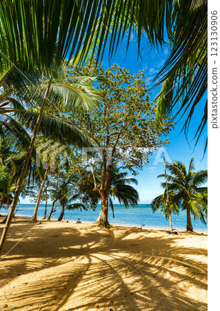 Tropical Resort 123130906