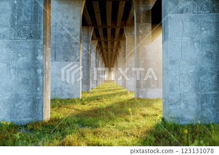 Concrete pillars under bridge with sunlight shining through, long shadows on green grass, urban landscape, peaceful scene, nature meets city 123131078
