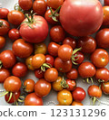 Photo of pesticide-free cherry tomatoes grown in a home garden 123131296