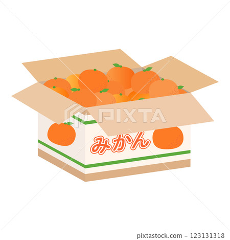 紙箱中大量橘子的向量插圖 123131318