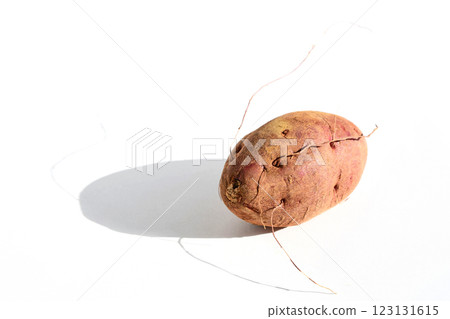 地瓜(萬聖節甜食) 地瓜(萬聖節甜食) 123131615