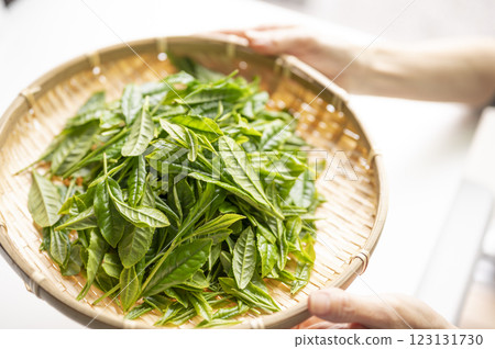 日本茶的代名詞藪北茶 123131730