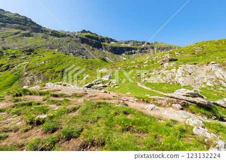 green mountain landscape of romania. highland on a sunny morning. fagaras ridge outdoor nature scenery. vacation destination with green hills green mountain landscape of romania. highland on a sunny morning. fagaras ridge outdoor nature scenery. vacation destination with green hills 123132224